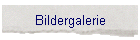 Bildergalerie